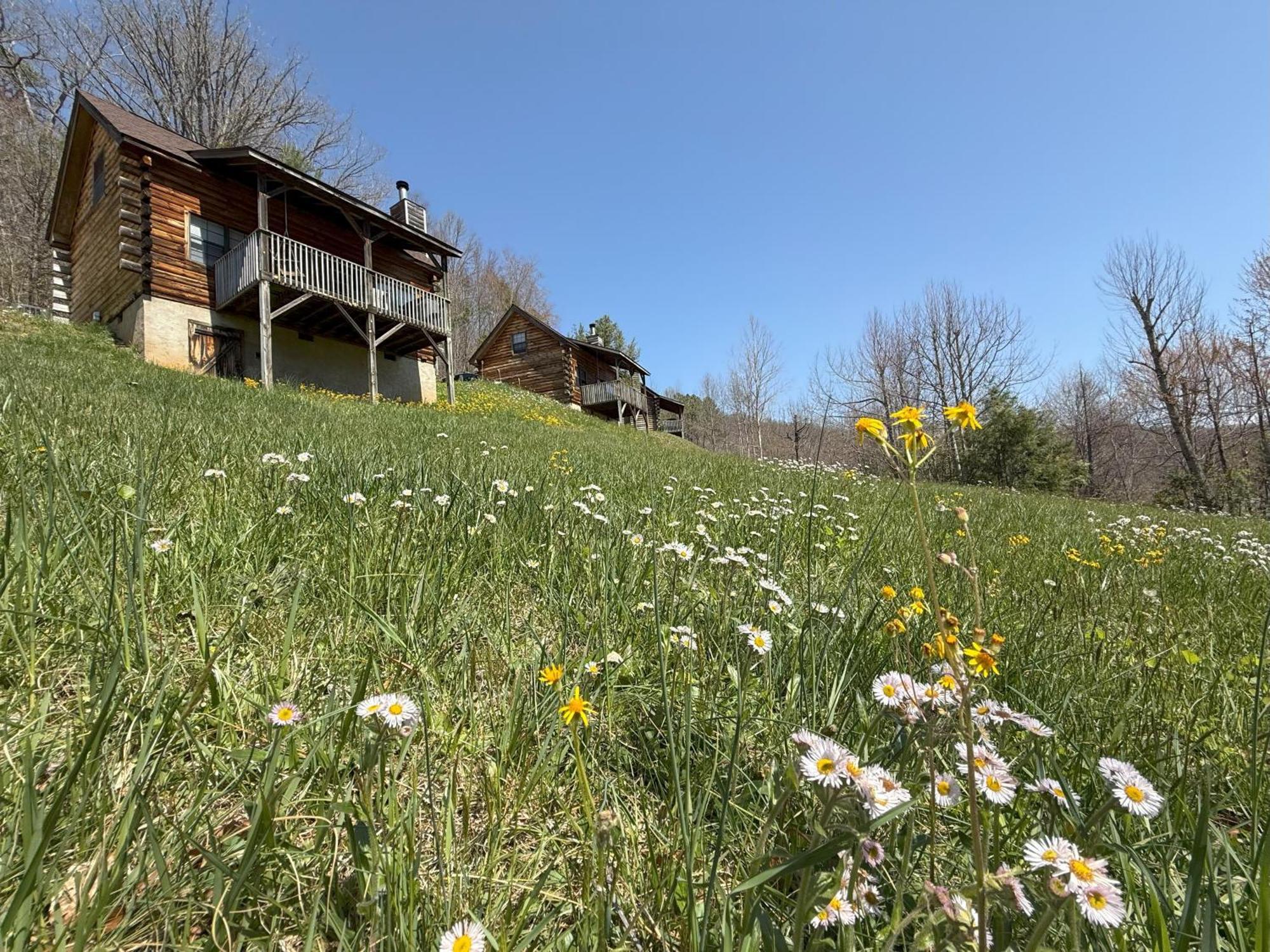 Sleepy Bear Cabin-watch The Sunset, Dogs Welcome With Pet Rate *